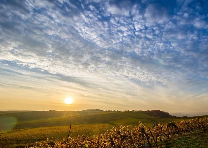 Design-apartments In Lage - Familienfreundlich - Kueche - Parkplaetze - Fahrradstellplaetze - Streaming